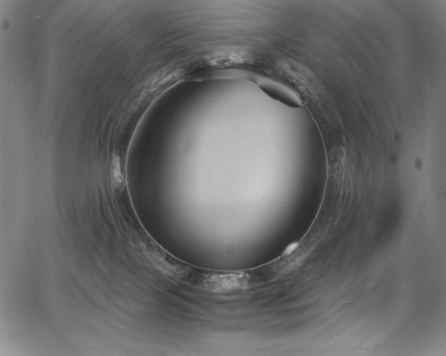 X0000068270089200604211121