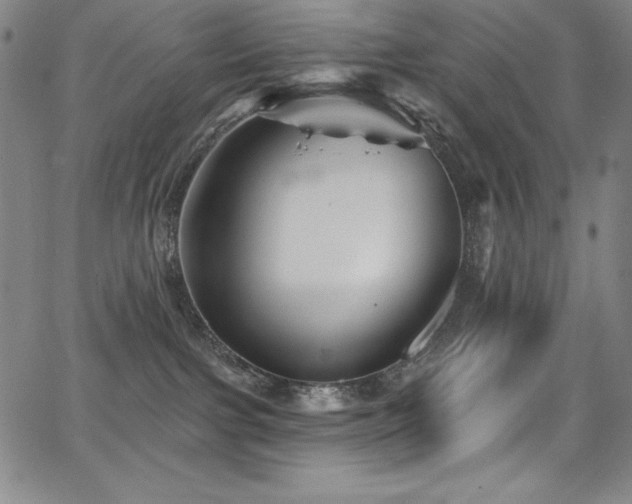 X0000068270091200604211121