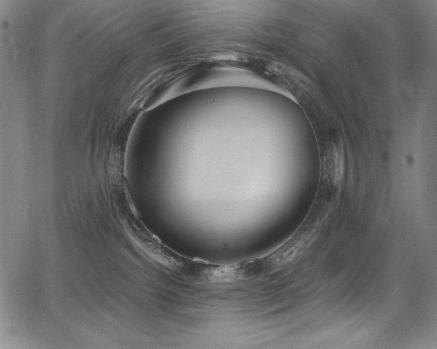 X0000068270092200604211121