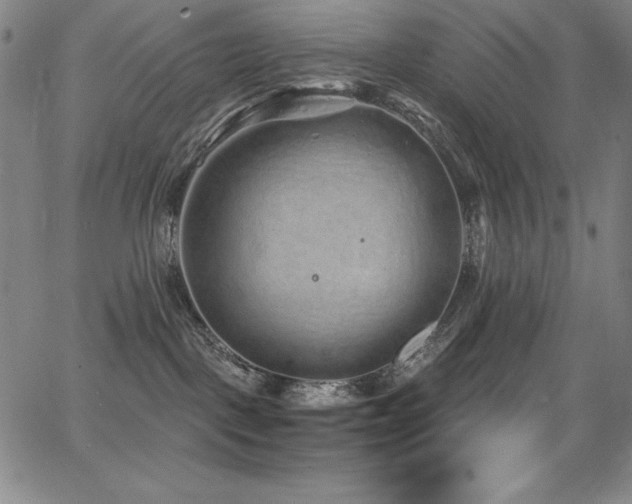 X0000068270093200604211121