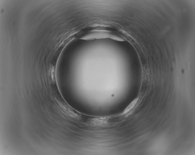 X0000068270094200604211121