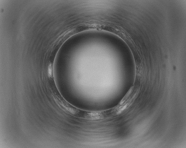 X0000068270095200604211121