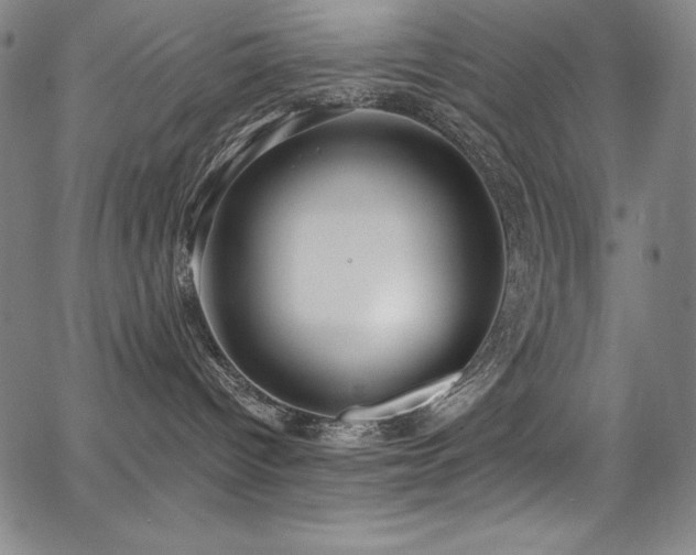 X0000068270096200604211121