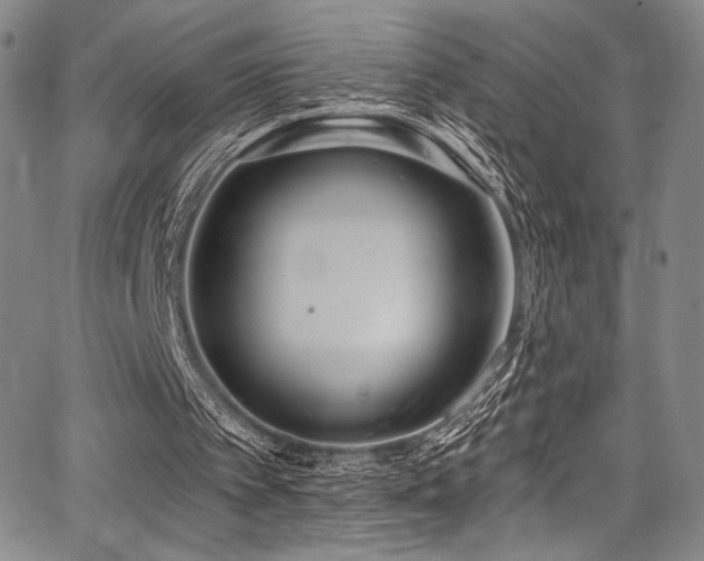 X0000068270097200604211120