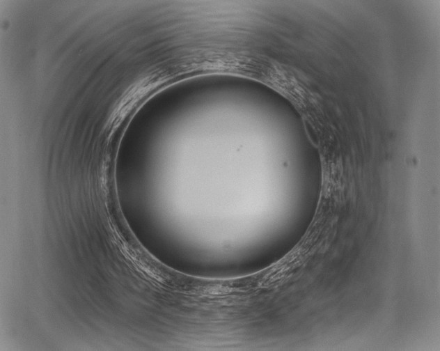 X0000068270098200604211120