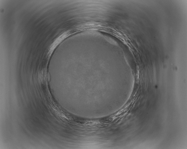 X0000068270099200604211120