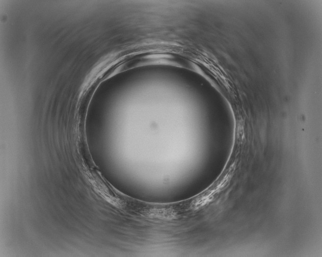 X0000068270101200604211120