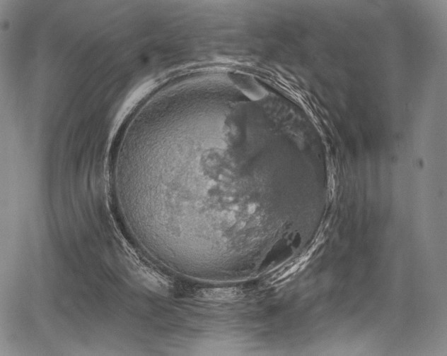 X0000068270102200604211120