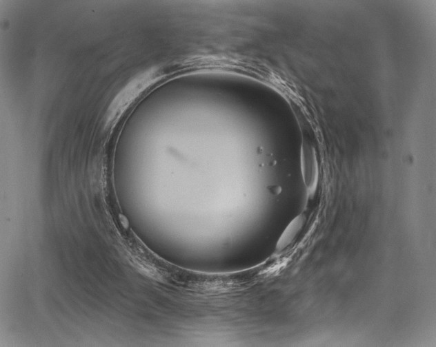 X0000068270103200604211120