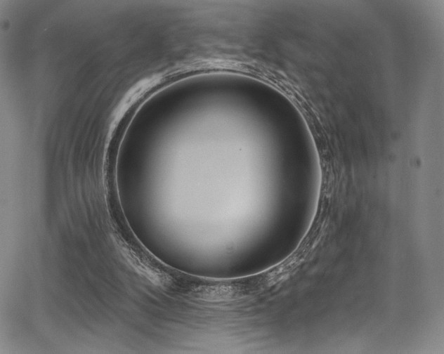 X0000068270104200604211120