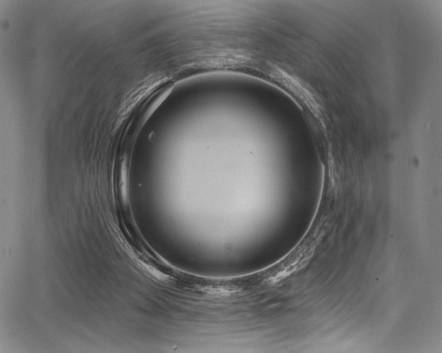 X0000068270105200604211120