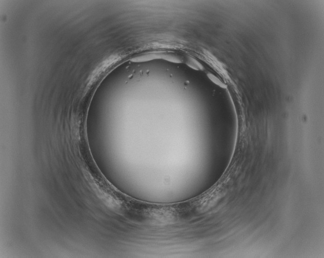 X0000068270106200604211120