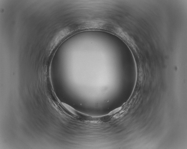 X0000068270107200604211120