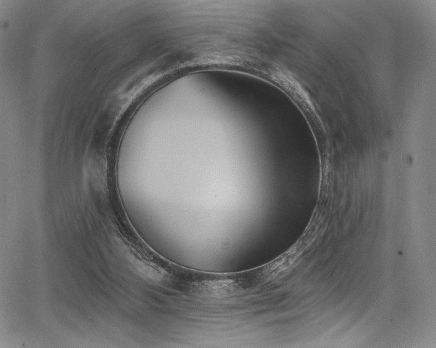 X0000068270108200604211120