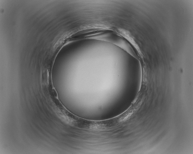 X0000068270109200604211120