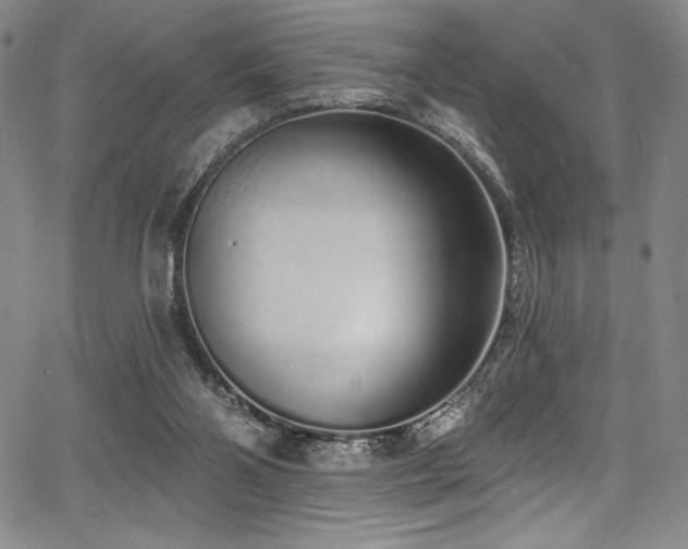 X0000068270110200604211120