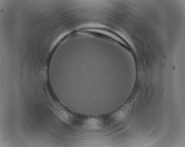 X0000068270111200604211120