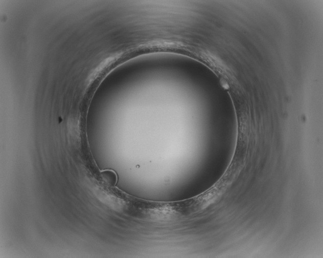 X0000068270112200604211120