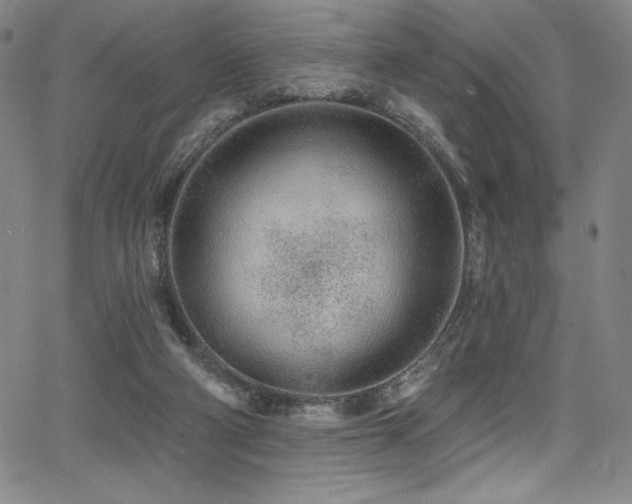 X0000068270114200604211120