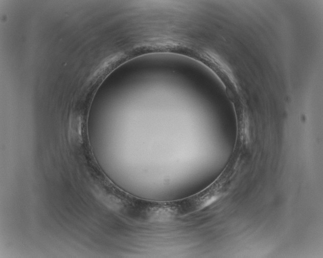 X0000068270115200604211120