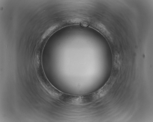 X0000068270116200604211120