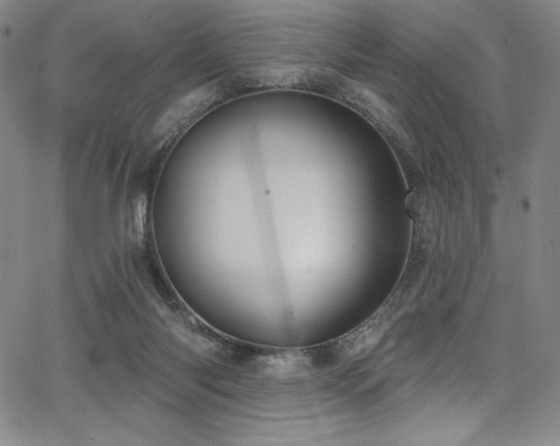 X0000068270118200604211120