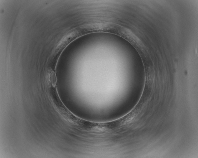 X0000068270119200604211120