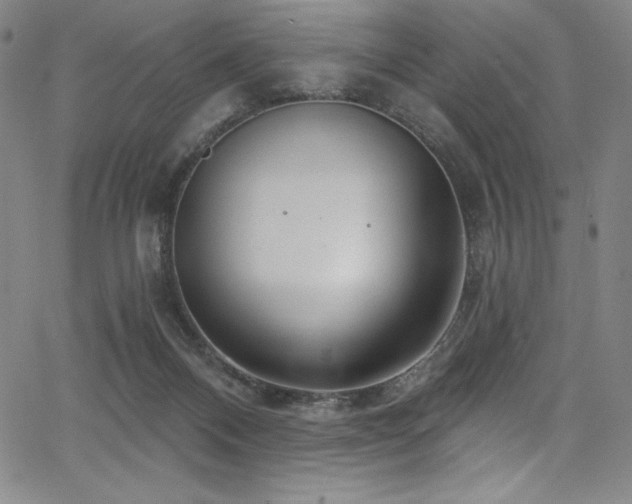 X0000068270120200604211120