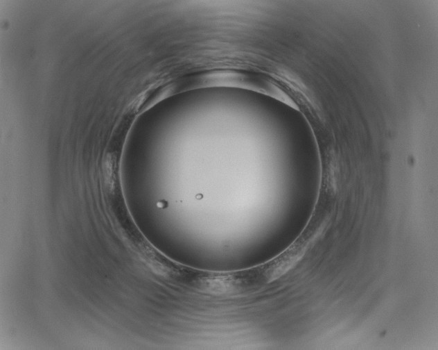 X0000068270121200604211120