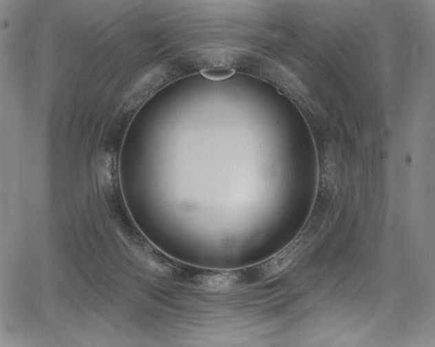 X0000068270122200604211120