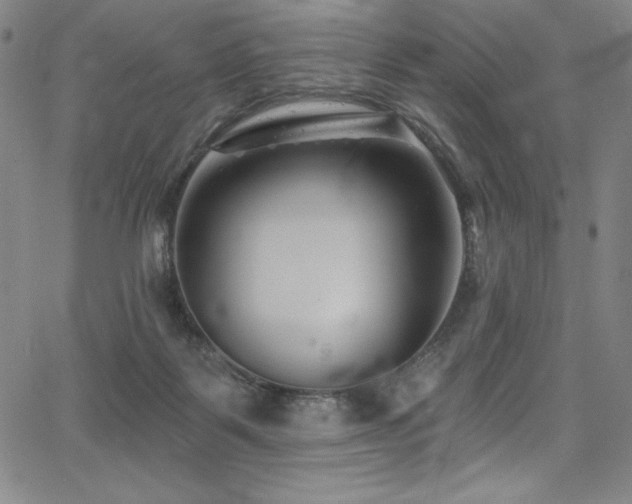 X0000068270123200604211120