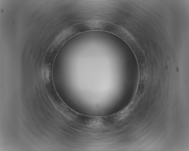 X0000068270124200604211120