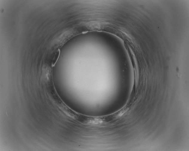 X0000068270125200604211120