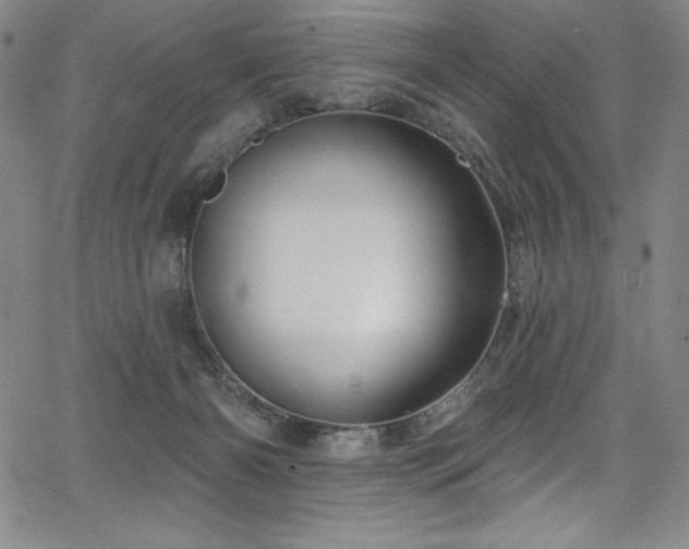 X0000068270126200604211120