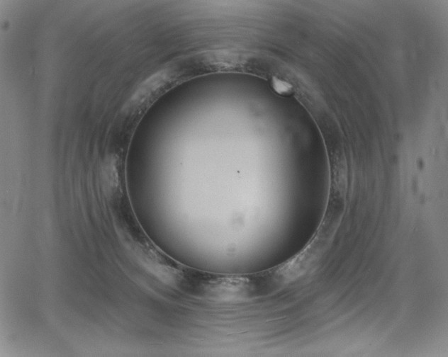 X0000068270128200604211120