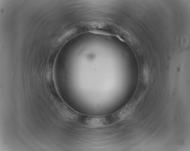 X0000068270129200604211120