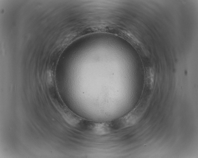 X0000068270130200604211120