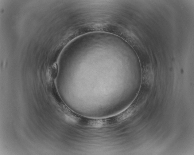 X0000068270131200604211120