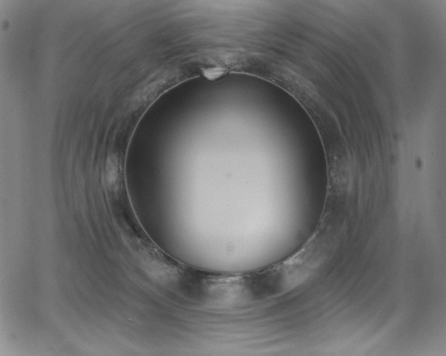 X0000068270132200604211120