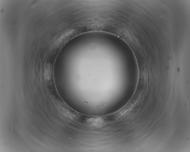 X0000068270133200604211120