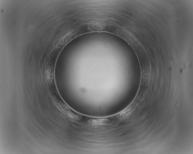 X0000068270134200604211120