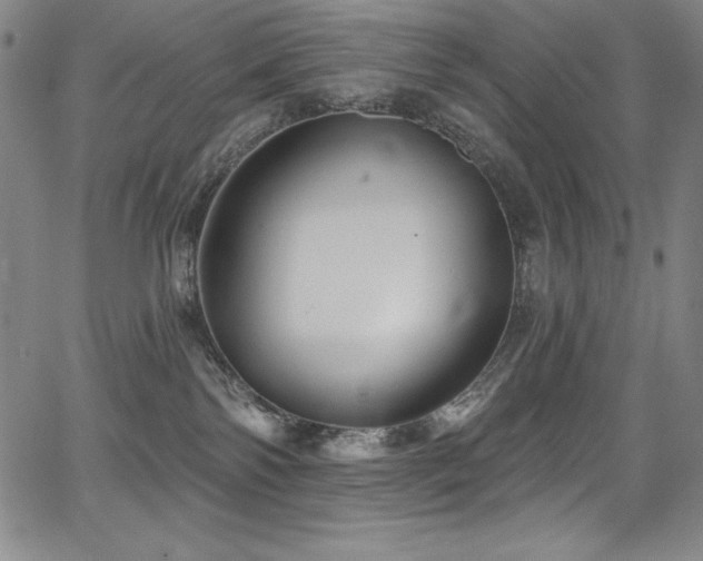 X0000068270138200604211120