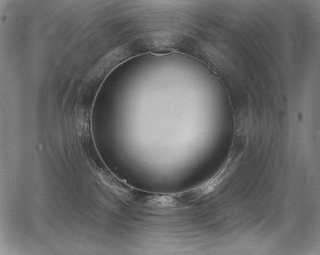 X0000068270140200604211120