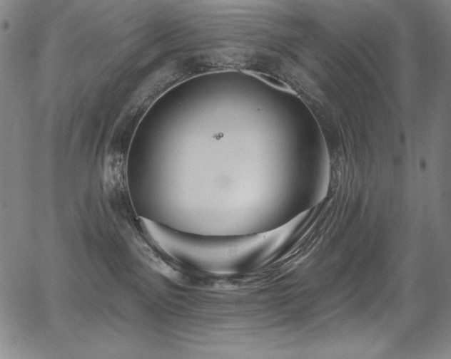 X0000068270141200604211120