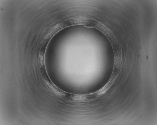 X0000068270142200604211120