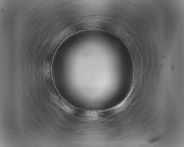 X0000068270144200604211120