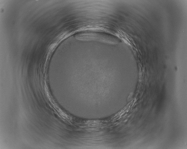 X0000068270145200604211119