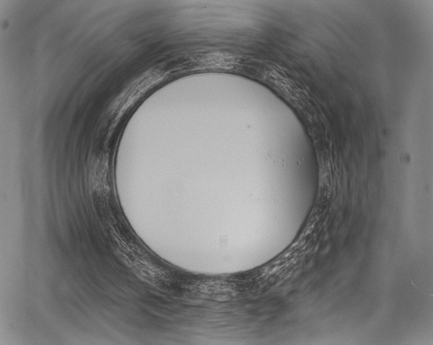 X0000068270146200604211119