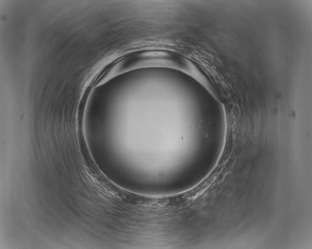 X0000068270148200604211119