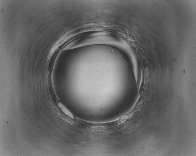 X0000068270150200604211119